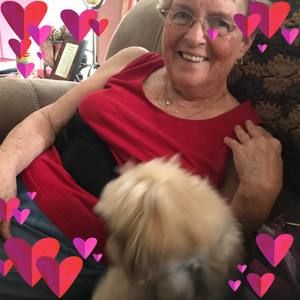 Meet your Posher, Sue